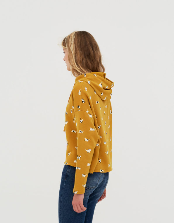 5593345305_2_2_1-595x760