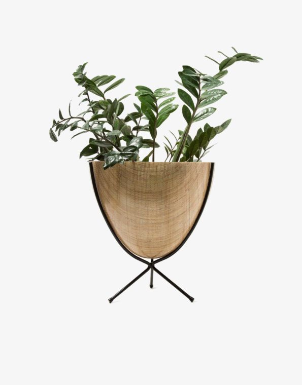 1870941031703_h579b99e681a19-595x760