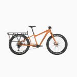 Salsa_Blackborow_GX_Eagle_2019_Copper_Carousel-1