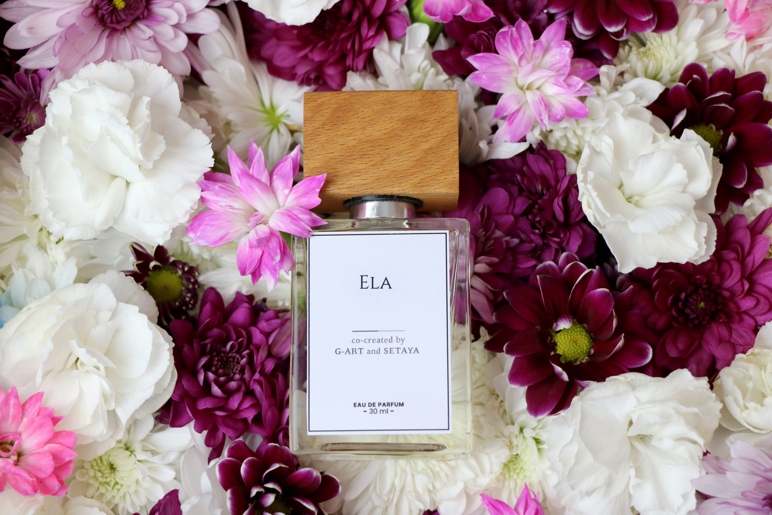 عطر زنانه الا (Ela) از برند G-ART Collection عطر زنانه الا (Ela) از برند G-ART Collection